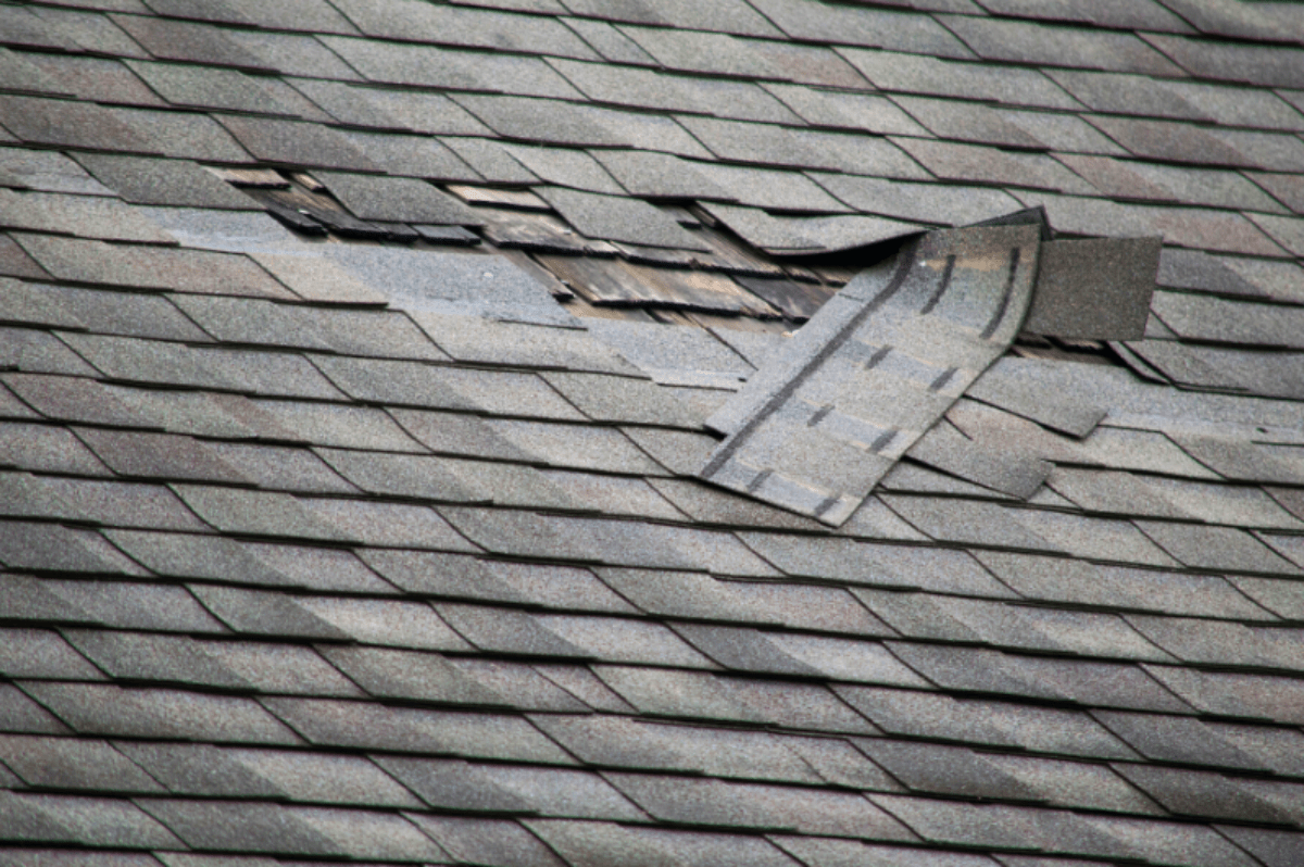 Common Roof Problems - Weather Vane Roofing