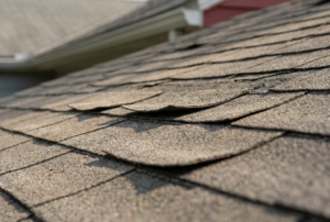 Curling Shingles: How to Read the Damage on a Michigan Roof